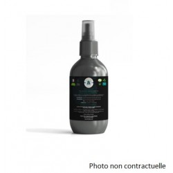 Démélix - Spray Démélant 2.0 - 250 ml By NATH DI BELLA