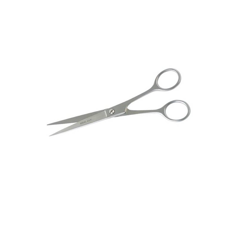 Paire De Ciseaux Lithographes 17 Cm - Inox Haute Qualité, Précision Pour Découpe Papier Et Tissu