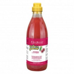 Shampooing CERISE IV SAN BERNARD 500 ml