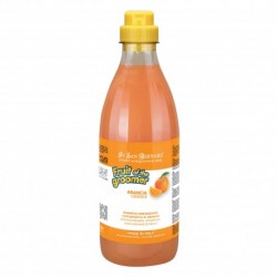 Shampooing ORANGE IV SAN BERNARD 500 ml