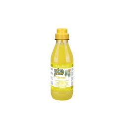 Shampooing Gingembre sureau  IV SAN BERNARD 1 000 ml