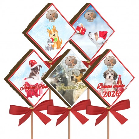 Lot de 10 sucettes Noël 1 (motif chien chat) Biscuiterie de Médor