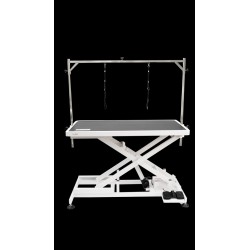 Table électrique SHERNBAO 120 x 60