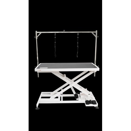 Table électrique SHERNBAO 120 x 60