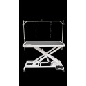 Table électrique SHERNBAO 120 x 60
