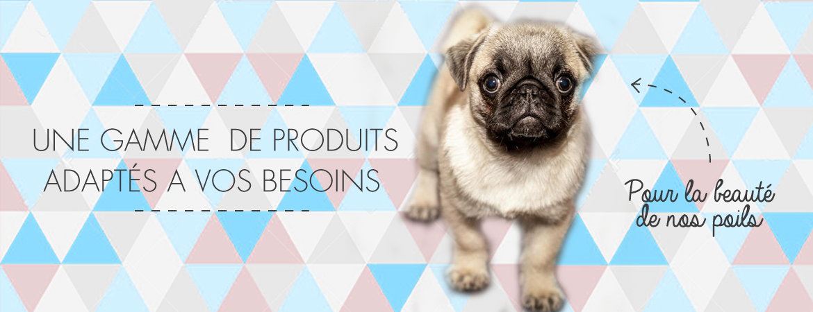 Gamme Puppy